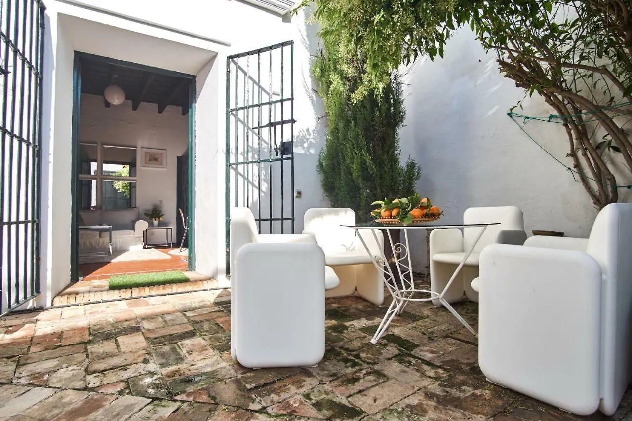 Apartment Aljarafe Paradise By Valcambre Castilleja de la Cuesta Spain